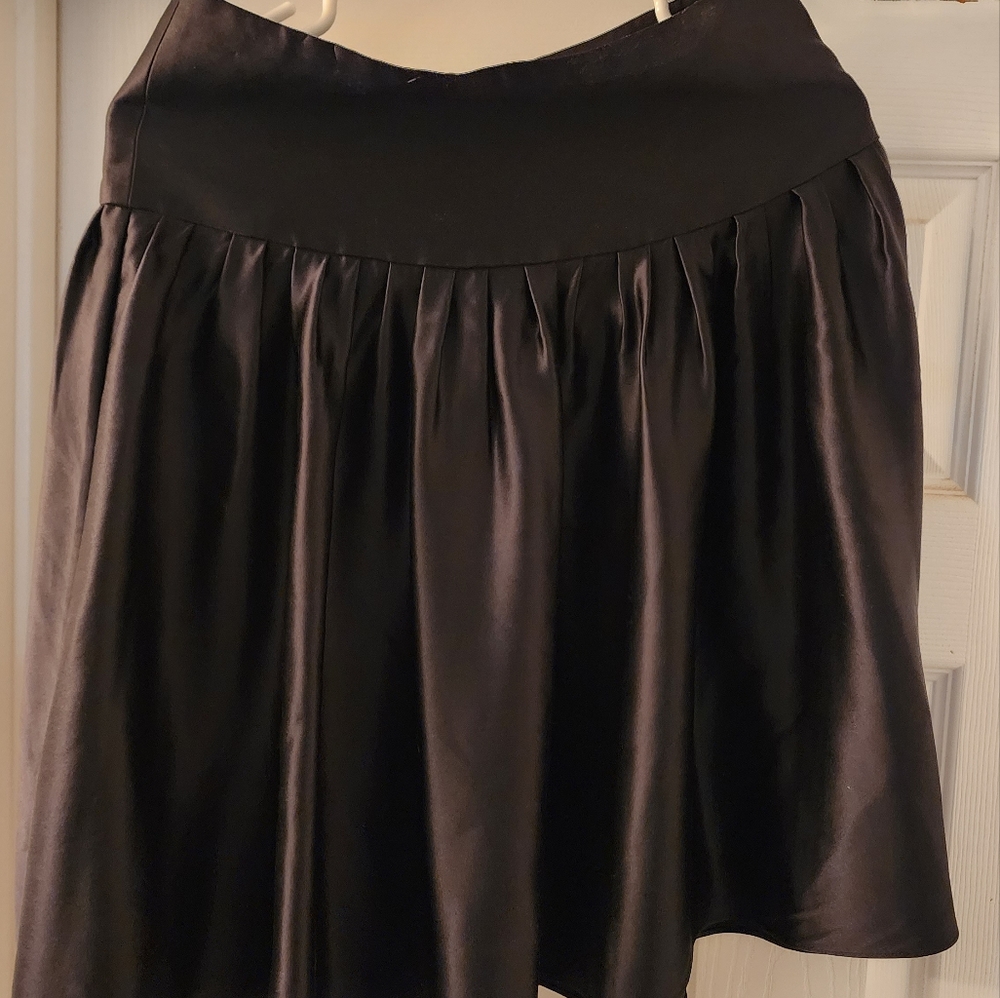 EXPRESS Silk Skirt